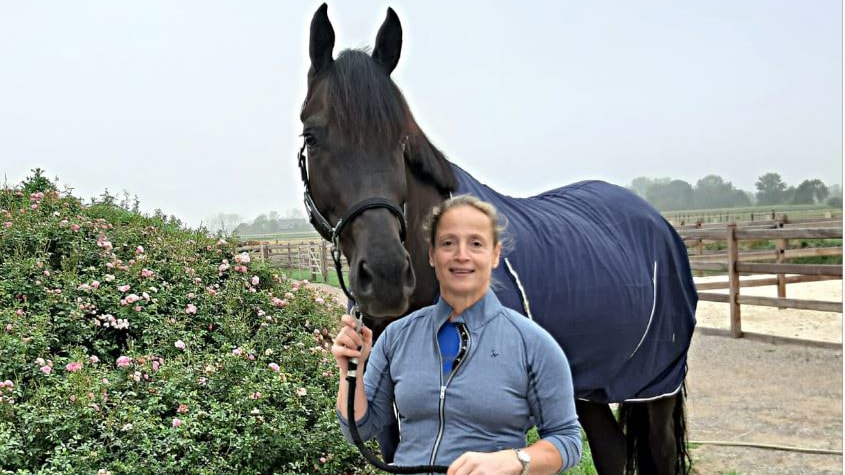 Neues Pferd für Isabell Werth - nachrichten - news ...