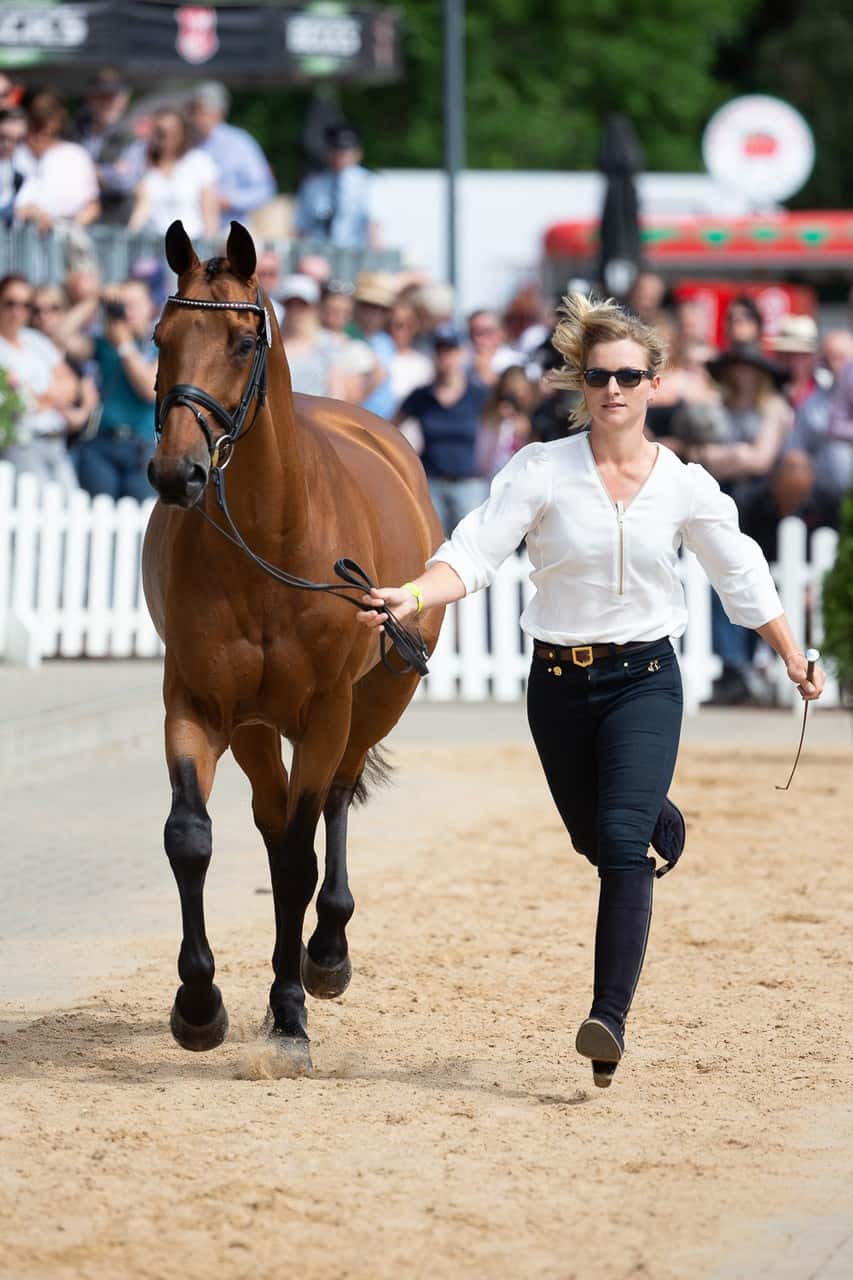 Luhmuhlen Julia Krajewski Macht S Nochmal Sport News Reiterrevue International