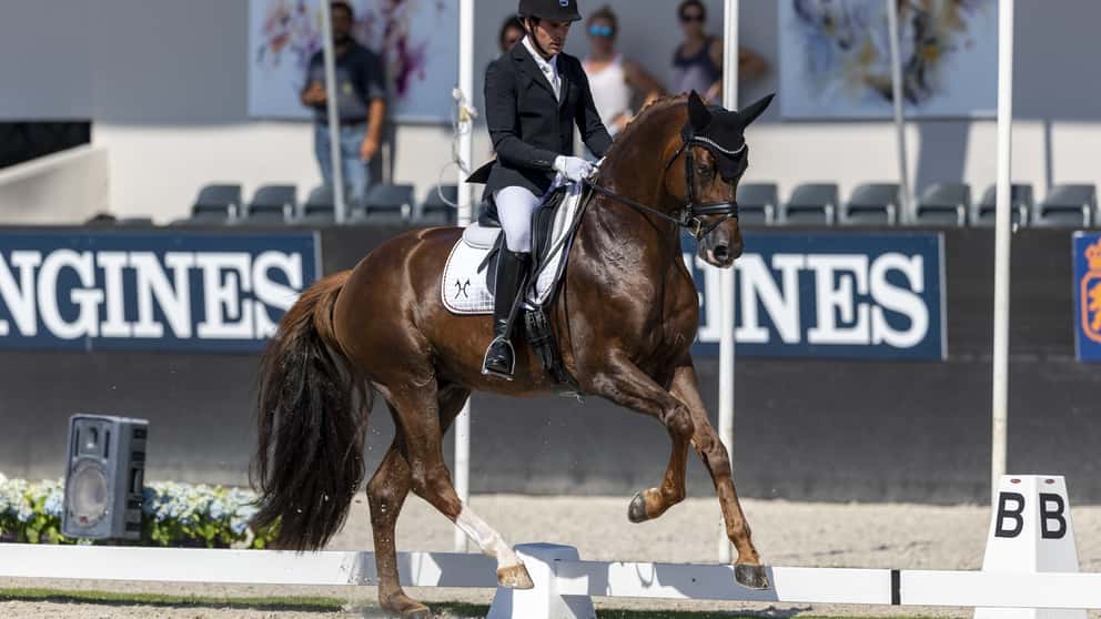 Lisa Muller Hat Ein Neues Pferd Jungpferde Weltmeister D Avie Sport News Reiterrevue International