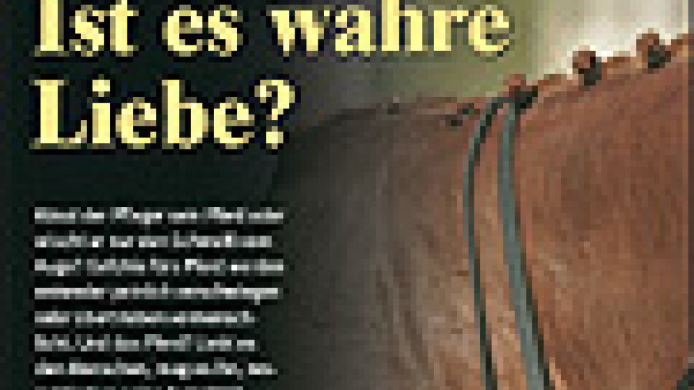 Ist Es Wahre Liebe