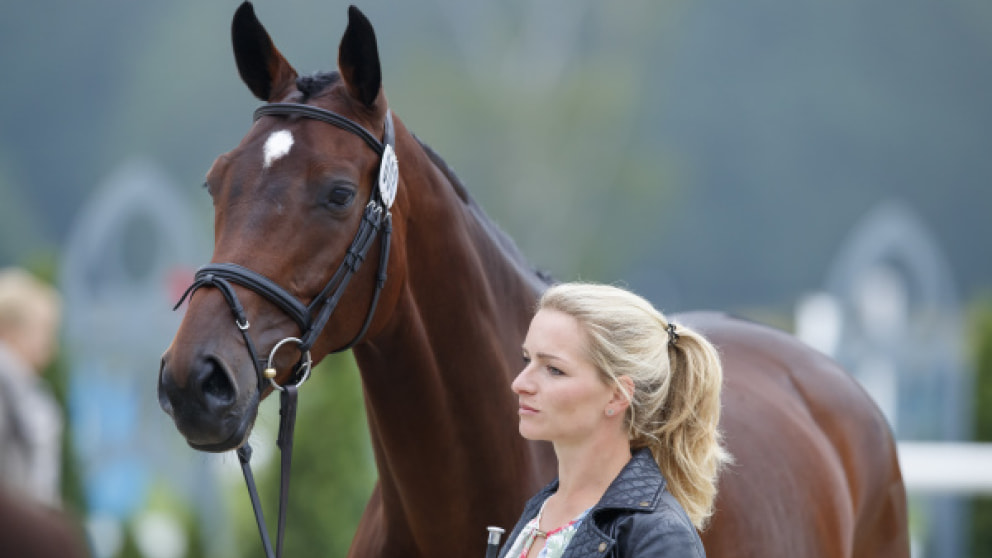 Julia Krajewski vorerst nicht mehr im Kader - sport - news ...