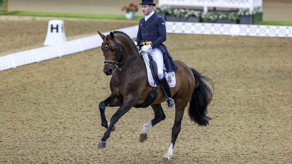 Matthias Rath Und Jill De Ridder In Doha Platziert Sport News Reiterrevue International